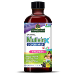 Mullein X KIDS