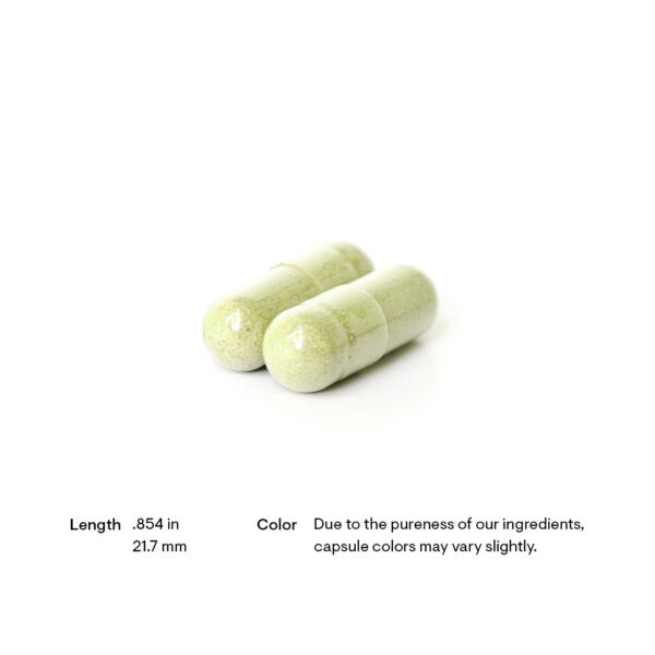 Quercetin Complex - Image 2