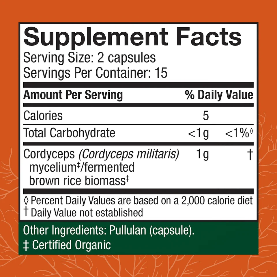 Cordyceps (Cordyceps Militaris) - Image 4